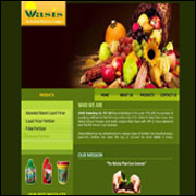 frslk_website